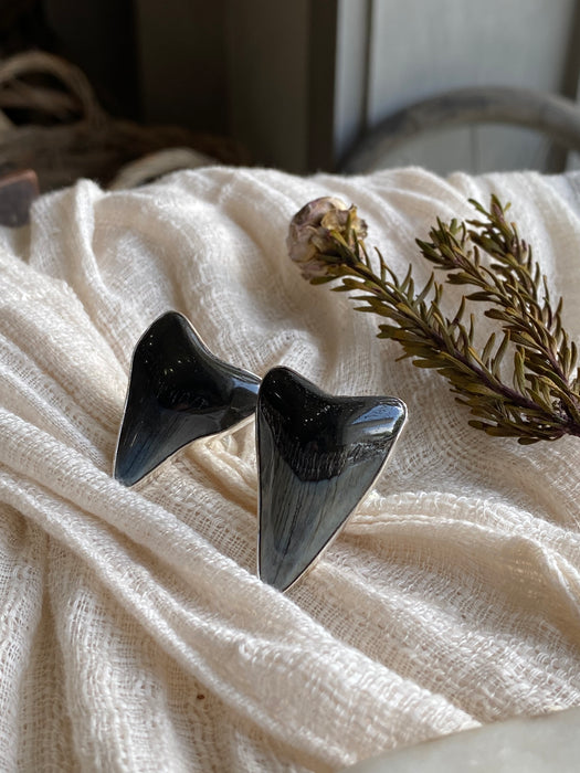 Shark Tooth Ring - Sterling Silver